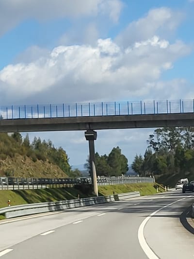The image captures a segment of a multi-lane asphalt highway in Oliveira de Frades, Portugal, viewed from a slightly elevated perspective. Overhead, a concrete overpass traverses the scene, supported by a prominent central cylindrical concrete pillar. The overpass structure is topped with a blue protective barrier composed of vertical slats. The sky above is blue with scattered white cumulus clouds.

The highway features clearly marked white lane lines, both solid and broken, guiding traffic. Metal guardrails line the edges of the roadway, particularly visible along the left side where a green, tree-covered embankment slopes upwards. Additional trees and vegetation are present on the right side of the highway and in the background, suggesting a rural or semi-rural setting with rolling hills. In the far distance, faint outlines of further hills or mountains are discernible.

Several vehicles are observed on the right lanes of the highway, traveling away from the viewer. These include a white utility vehicle or van followed by at least two dark-colored passenger cars. No individuals are visible within the frame.
