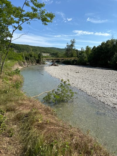 The image, taken in Vozrozhdenie, Russia, displays a serene natural landscape featuring a river, extensive gravel bank, and forested hills under a bright sky.

**Subjects:** The central subject is a clear, shallow river with a stony bed, flowing from left to right across the lower half of the frame. To the left of the river, a wide, light-colored gravel bank extends, contrasting with the dark green foliage of dense trees and forested hills that rise steeply beyond it. On the near bank, a mix of dry, brownish grass and some greener vegetation grows, with a small leafy tree extending a branch into the foreground. In the mid-ground, a yellow metal structure, possibly a pedestrian bridge or a utility crossing, spans a narrower section of the river or a tributary. The sky is a vibrant blue with scattered wispy white clouds.

**Activity or event taking place:** No human or animal activity is visible. The scene captures a tranquil moment in nature.

**Notable details:** The time of day appears to be midday or early afternoon, characterized by strong, clear sunlight illuminating the entire scene and casting minimal shadows. The weather is fair and clear. The river water is translucent, allowing the smooth stones of its bed to be seen. The large gravel bank suggests seasonal changes in water levels or a river that frequently shifts its course. The distant forested hills indicate a mountainous or hilly terrain. There is a wooden pole on the near river bank near the yellow structure.

**Visible text:** There is no visible text in the image.