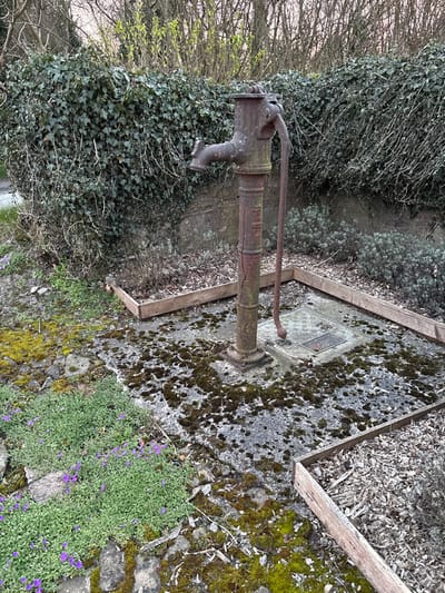 The image depicts an outdoor scene in Shelve, United Kingdom, centered on an old, disused cast iron hand pump. The pump, extensively corroded and reddish-brown with visible cracks on its main column, features a curved spout pointing left and a long, curved pump handle extending to the right. It stands on a concrete or stone slab base, which is heavily covered with dark green moss and lichen. This paved area is framed by a square border of light brown wooden planks. Within this border, to the right of the pump, the ground is covered with light brown wood chips or mulch. Embedded in the paved surface, near the pump's base, is a square metal manhole cover with a textured, circular pattern, and a smaller, rectangular plaque or cover centered on it.
Behind the pump, a substantial wall or hedge is densely covered in dark green ivy. Above this, bare deciduous trees or shrubs with sparse, light green nascent foliage are visible against a pale sky, suggesting an early spring setting. To the left of the pump, outside the wooden border, the ground is covered by vibrant green ground-covering plants with numerous small purple flowers, intermixed with patches of bright green moss and scattered stones. No individuals or active interactions are present in the scene. The lighting is soft and even, indicating overcast conditions or a transitional time of day.