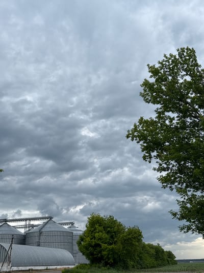 This landscape image captures an agricultural scene in Zanky, Ukraine, under a heavily overcast sky. The sky dominates the upper portion of the frame, filled with dense, textured grey clouds that display varying shades and streaky patterns, suggesting thick cloud cover or an approaching storm.
In the upper left corner, the lush green foliage of a tree extends into the frame, partially obscuring the sky. Along the right side of the image, a continuous line of vibrant green trees or bushes forms a natural boundary, with a glimpse of distant fields or lighter sky visible beyond them.
The lower right quadrant features a complex of large, silver-colored agricultural structures, identifiable as grain silos. These industrial facilities have ribbed metallic siding, conical roofs, and are interconnected by metal walkways and conveyor systems. Adjacent to the silos is a large, curved, silver metal building, likely another storage facility.
No people or discernible activities are present, lending a still and observational quality to the scene. The lighting indicates daytime, but the dense grey clouds create an overall muted and somber atmosphere, consistent with overcast weather. There is no visible text in the image.
