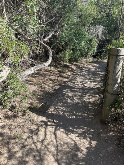 An elevated sandy path runs alongside a low wooden post barrier, secured with chains. The path is partially shaded by trees, casting dappled shadows across its surface. Green bushes and a gnarled, light-colored branch spill over the edge, adding texture to the foreground. The composition is predominantly natural, with the constructed path blending into the earthy tones.