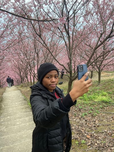 A person in a black beanie and jacket holds a blue smartphone, seemingly taking a photo or video. The scene is set on a concrete pathway lined with blooming cherry blossom trees. Other people are visible walking on the path in the distance. Some green grass is seen on the left of the frame, near the person. The overall impression is a picturesque outdoor setting during cherry blossom season.