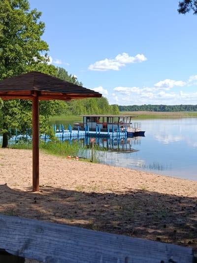 The image depicts a tranquil lakeside scene on a sunny day, likely in the Плюскі сельскі Савет, Belarus. In the foreground, a sandy beach is partially shaded by a wooden-roofed gazebo. The sand is scattered with pinecones and sparse green vegetation. A wooden railing is visible at the very bottom of the frame.
The middle ground features a calm, reflective lake with a floating pontoon dock. The dock is constructed of blue modular floating elements and supports a small structure resembling a pavilion or a boat with a covered roof. The water is clear and mirrors the blue sky and surrounding greenery. Along the edge of the lake, tall reeds and grasses grow. Two orange life vests are placed on the sandy bank near the water.
In the background, a dense forest of green trees forms a lush backdrop to the lake. The sky is a bright blue, dotted with fluffy white clouds. The overall atmosphere is serene and idyllic, suggesting a popular spot for recreation and relaxation by the water.