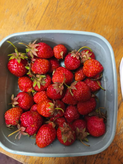 A high-angle vertical shot captures a light blue-grey plastic container filled with approximately 30-40 ripe, red strawberries, situated on a warm-toned wooden surface in Borzna, Ukraine. Each strawberry exhibits a vibrant red hue with visible yellow achenes (seeds) embedded across its surface. Most berries retain their green calyxes and short, brown-tinged stems; a few have longer, greener stems. Small water droplets are visible on the fruit and the interior surface of the container, indicating recent washing or freshness. The plastic container is square with rounded corners and features a slightly thicker, rounded rim. It occupies the lower two-thirds of the frame. The background consists of a light to medium brown wooden surface, possibly a tabletop, displaying distinct wood grain patterns running vertically and horizontally. A small portion of a white, possibly ceramic or plastic, object is visible on the far right edge of the frame, next to the container.