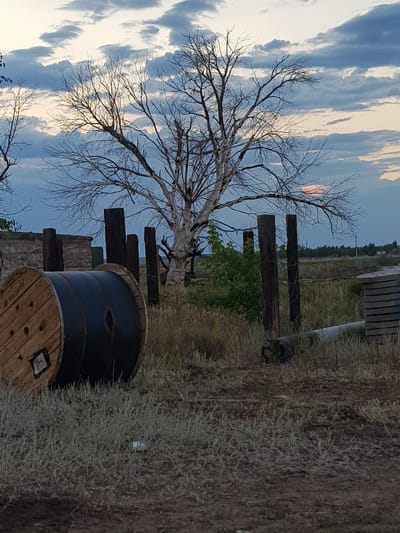 This media file depicts an outdoor scene with a stark, dead tree in the foreground. The tree's bare branches create a silhouette against a sky filled with dramatic clouds, suggesting either dawn or dusk with hints of orange and pink in the sky.
To the right of the tree, a large, wooden cable spool with a dark band around its circumference is prominently placed. Beyond the spool, the ground is covered in dry, sparse vegetation. Several dark wooden posts are also visible, some appearing to be part of a fence or structure. In the background, there is a flat landscape with scattered trees and a building or structure with a ribbed, vertical surface. The overall impression is one of a rural or semi-abandoned location.
There is some faint, unreadable text on the wooden spool. The lighting and sky suggest a time of day around sunrise or sunset, and the dry vegetation indicates a potentially arid climate. The scene evokes a sense of quiet or desolation.