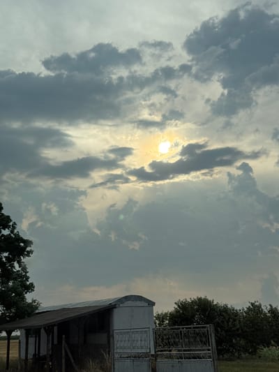 An outdoor, low-angle, vertical, medium shot captures the sky and a small structure. The sun is visible in the upper middle of the frame, peeking through a layer of heavy, grey clouds, casting a bright glow. The clouds are varied in thickness and shape, with some appearing dark and ominous while others are lighter and wispy. Below the sky, a rustic, light-colored structure with a dark, sloped roof is visible on the left side of the frame. The structure appears to be made of corrugated metal or wood. In front of the structure, a decorative metal gate is visible, partially obscured by a dense growth of dark green trees and bushes that extend across the right side of the frame. The ground appears to be covered in dry grass. The location is the city of Babovo, Bulgaria. There are no people or animals visible in the image.