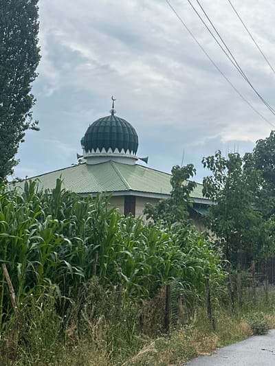 The image shows a mosque with a green dome, topped with a crescent moon, situated in the city of Taygarayev, Kyrgyzstan. The mosque has a green, corrugated metal roof and several loudspeakers mounted on its sides. In the foreground, a dense field of tall green corn stalks grows behind a rustic wire fence. Lush green trees and vegetation surround the mosque and the cornfield. The sky above is overcast with dramatic clouds, and electrical wires are visible stretching across the upper right portion of the frame. The scene suggests a rural or semi-rural setting.