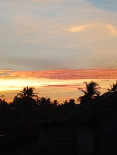 A vertical, full shot captures a vibrant sunset over Sangso, Indonesia. The sky is a gradient of soft blues at the top, transitioning to pale pinks and oranges, with a prominent band of rich, textured orange clouds stretched horizontally across the middle. Below the sky, silhouetted palm trees with their characteristic fronds rise against the colorful horizon. In the foreground, the dark, silhouetted roofline of a building, likely a house, dominates the lower portion of the image, obscuring the ground and any potential inhabitants. The overall atmosphere is serene and picturesque, characteristic of a tropical evening.