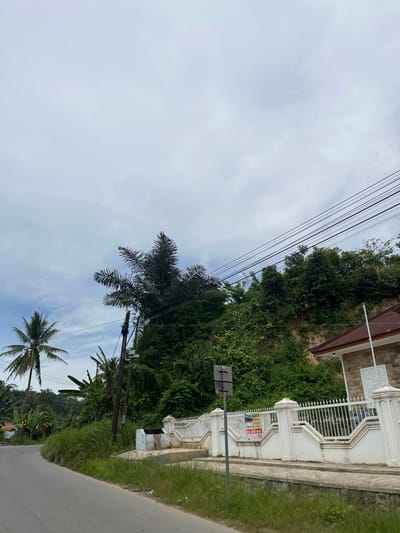 The image shows a view of a road curving through a lush, green landscape. In the foreground, the asphalt road is empty and slightly wet. To the right of the road, a white, ornate fence runs along a slightly elevated embankment covered in grass and small plants. Behind the fence, a building with a reddish-brown roof and stone walls is visible. A sign is attached to the fence, written in Indonesian. On the left side of the road, tall palm trees and banana trees are abundant, suggesting a tropical climate. A steep, heavily vegetated hill rises behind the trees and the road. Overhead, a complex network of power lines stretches across the frame against a cloudy, pale blue sky. The scene appears to be in a semi-rural area, possibly on the outskirts of Rantau Pauh, Indonesia.
