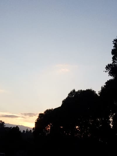 The image displays a landscape at either sunrise or sunset within Nachu ward, Kenya. The upper two-thirds of the frame consists of a sky transitioning from a light blue at the zenith to pale yellow and orange hues at the horizon. Several wispy, horizontally aligned clouds are visible in the lower-left quadrant of the sky, with a single faint, elongated cloud situated centrally in the upper portion. The lower third of the image is dominated by the stark silhouette of dense tree foliage, forming an irregular, dark mass against the brighter sky. Intermittent bursts of bright orange light are visible through gaps in the silhouetted canopy, indicating the sun's position behind the tree line. No individuals, man-made structures, or discernible actions are present. The environment appears natural and unpopulated.