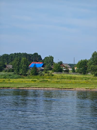 This is an outdoor, eye-level, landscape photograph of a village by a river. The sky is clear and blue with a few faint clouds. In the foreground, a wide, calm river reflects the sky and surrounding trees. The riverbank is lined with a strip of pebbles and then a lush green grassy area dotted with small yellow flowers. Behind the grassy area, a dense line of green trees forms the backdrop. In the middle ground, nestled within the trees, are several rustic wooden houses. One house has a distinctive bright blue roof, and another has a red roof. A wooden fence runs horizontally across the middle ground, separating the grassy area from the houses. There are no people or animals visible in the scene. The overall impression is one of a peaceful, rural village in Russia, likely in or near Galanino, given the context.