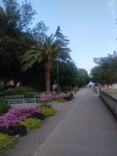 The image depicts a pathway in a park setting, likely Crikvenica, Croatia, judging by the presence of palm trees and a coastal atmosphere. The pathway, paved with interlocking stones, extends into the distance, bordered on the left by lush greenery and flower beds bursting with pink and purple blooms. Several metallic benches are strategically placed near the flowerbeds, offering seating for park-goers.
A prominent palm tree stands tall on the left side of the pathway, its fronds reaching towards the clear blue sky. Beyond the palm tree, dense foliage and trees form a natural backdrop. A statue, possibly of a historical figure, is visible behind the palm tree. Further along the pathway, several individuals are seen strolling or cycling, engaging in leisurely activities. In the background, a fountain can be observed, suggesting a public recreational area.
On the right side of the pathway, a concrete railing separates the path from what appears to be a slightly elevated grassy area with more trees. The overall scene conveys a sense of tranquility and outdoor enjoyment, characteristic of a well-maintained urban park. The lighting suggests it is either early morning or late afternoon, with a soft, diffused sunlight.