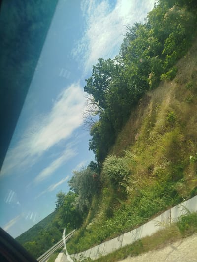 The image shows a view from inside a vehicle looking out at a roadside scene. The perspective is angled, with the sky occupying the upper left portion of the frame and a vegetated hillside on the right. The sky is a light blue with scattered white clouds. A dark, reflective surface, likely a window, is visible on the left side of the image, distorting the view of the sky and reflecting some interior elements.
The hillside is covered in lush green vegetation, including trees and shrubs. There are also patches of dry grass and some small wildflowers. A white concrete barrier runs along the edge of the road at the bottom of the hillside. A roadbed or pathway, also appearing to be paved or gravel, is visible beyond the barrier. There are no people or animals visible in the image. The environment appears to be a rural or semi-rural area, possibly along a winding road, given the incline of the hillside.
The image is dated as taken in the city of Rusca, Moldova, suggesting the scene is located in that region. The lighting suggests it is daytime, possibly late morning or afternoon, with the sun illuminating the hillside.