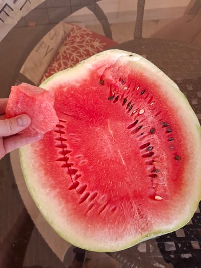A slice of watermelon rests on a glass table, its vibrant red flesh speckled with dark seeds. A person's hand, with short, neatly trimmed fingernails, holds a small piece of the fruit, as if about to eat it. The watermelon is large, filling most of the frame, with a pale green rind. The background is blurry, but suggests an outdoor setting, possibly a patio, with a woven chair and a patterned cushion visible. Sunlight casts shadows across the table, indicating it's daytime. The scene is casual and relaxed, evoking a sense of refreshment on a warm day. There is no visible text in the image.