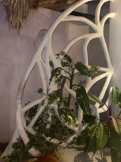 This image captures a close-up of an indoor or semi-enclosed decorative installation in El Nido, Philippines. The central feature is a large, white, sculptural structure with an organic, branching design, resembling abstract tree roots or intertwined branches, approximately two to three meters tall. Various live plants are integrated into and around this structure. Notable vegetation includes large-leafed variegated plants, possibly *Dieffenbachia*, with prominent green and white patterns, and trailing variegated vines, likely *Pothos*, with smaller green and yellow leaves. Additional broad-leafed green plants, some with reddish stems, grow from the base and upward through the sculpture. The background consists of a textured, light pinkish-beige wall. In the upper left quadrant, a portion of a thatched ceiling, made from dried leaves or straw and supported by visible wooden beams, is discernible. The base of the sculpture rests on a gray, textured concrete or stone floor, with a small section of a dark wooden surface visible at the bottom center. The scene is illuminated by artificial lighting, creating soft shadows. No people are present. The precise location within El Nido is not identifiable from the visual evidence, but the natural and artistic elements suggest a commercial establishment such as a restaurant, resort lobby, or cafe.