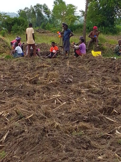 A group of individuals are gathered in a freshly tilled field. The field appears to be readied for planting with visible rows. People are both seated and standing around, taking a break or observing the field. Various items like a yellow bucket and water containers are visible. The scene suggests agricultural activity, likely planting or preparation for planting, taking place in a rural setting. Trees and green foliage surround the field, further emphasizing the agrarian environment.