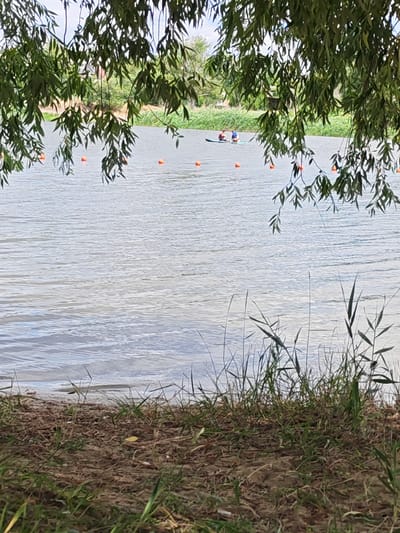 This media file depicts a tranquil scene on a body of water, likely a river or lake, with the foreground occupied by a sandy bank covered in dry grass and a few green shoots. Overhanging branches of a tree with lush green leaves frame the upper part of the image.

In the distance, on the water, two individuals are visible on what appears to be a stand-up paddleboard or a similar small watercraft. They are positioned side-by-side, facing away from the viewer. One person is wearing a red top and the other a blue backpack. The water is calm with gentle ripples, and several orange buoys are spaced out across the surface. The background shows a treeline and a glimpse of buildings, suggesting a populated area near the water.

The lighting suggests it is daytime, possibly late morning or early afternoon, with diffused sunlight. The overall mood is peaceful and relaxed, evoking a sense of outdoor recreation and leisure. The location context places this scene in Belaya Kalitva, Russia. There is no visible text in the image.