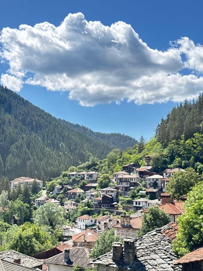 The image depicts a village nestled in a valley, with dense evergreen forests covering the steep slopes on either side. A bright blue sky with scattered white clouds forms the backdrop. The village itself is characterized by traditional architecture, with numerous houses featuring terracotta tiled roofs and stone or white-washed walls. Many of these houses are built on the hillside, creating a terraced effect. Some of the buildings appear older, with stone foundations and chimneys, while others are larger and more modern. The area is lush with green vegetation, including trees and bushes that surround and are interspersed among the buildings. A narrow road or pathway can be seen winding through the village. This is a view of the village of Shiroka Laka in Bulgaria. There are no people visible in the image.