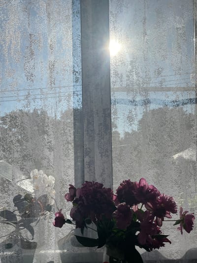An indoor still life featuring a bouquet of deep pink peonies in a clear vase positioned in the foreground. To the left of the peonies, a white orchid is visible, its delicate petals catching the light. Both floral arrangements are placed in front of a sheer white lace curtain, through which sunlight streams, creating dappled shadows and a bright halo effect from the sun. The curtain is textured with a repeating pattern of abstract, cloud-like shapes. Beyond the curtain, the silhouettes of trees and a clear blue sky are discernible, suggesting an outdoor view. The scene is lit by strong natural sunlight, casting distinct shadows on the curtain. The image appears to be captured in a residential setting, likely a room with a window overlooking greenery. The specific location in Solnechnaya Polyana, Russia, is not visually evident from the image itself.