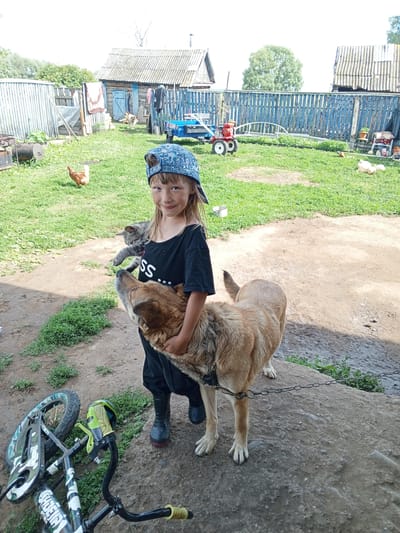 A young girl wearing a black t-shirt and a blue baseball cap stands outside with a light brown dog and a grey cat. The girl is holding the dog around its neck, and the cat is perched on her arm. A bicycle lies on the ground to the left of the girl, and a chain leash is attached to the dog's collar. In the background, there is a wooden fence, a small blue trailer, and a rustic wooden building. The scene appears to be a rural or suburban backyard, possibly in Buraly, Russia, given the context. The ground is a mixture of dirt and grass, with some scattered debris. The overall impression is of a casual outdoor setting with animals and a child.