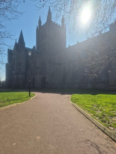 The image captures Hereford Cathedral in Hereford, United Kingdom, viewed from its surrounding grounds on a clear, sunny day. In the foreground, a reddish-brown granular paved path extends towards the cathedral, bifurcating into two distinct routes. This path is bordered on both sides by sections of vibrant green grass, separated by grey concrete curbing. A single black lamppost stands on the left side of the paved path, positioned approximately midway between the viewer's perspective and the cathedral. Hereford Cathedral, a large grey stone gothic structure, dominates the background. It features a tall central tower with crenellated battlements and multiple pinnacles, alongside a prominent western spire and detailed stonework including pointed arch windows. The sun is visible in the upper right quadrant, producing a bright flare and backlighting the cathedral, which renders parts of its right side less distinct due to the glare. Bare, deciduous tree branches are visible in the upper portion of the frame, partially obscuring the sun and the clear blue sky. No individuals are present within the captured scene.