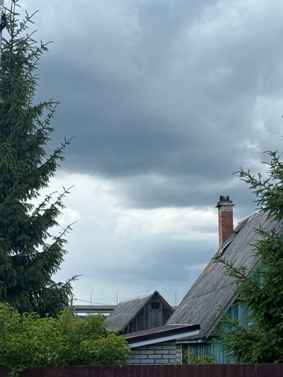 The image depicts an outdoor scene with a slightly overcast sky. In the foreground, a large evergreen tree is positioned on the left side, its branches partially obscuring the view. To the right, the rooftops of several buildings are visible, including a house with a grey, weathered roof and a red brick chimney. Another building with a dark wooden exterior and a small window is partially visible behind it. Lush green foliage is present in the lower portion of the image, with a dark wooden fence at the very bottom. In the background, a bridge with lampposts can be seen stretching across the landscape. The scene appears to be a residential area, possibly in the city of Kommolovo, Russia, given the architectural style and vegetation. There are no people or animals visible in the frame. The overall impression is of a calm, natural setting under a cloudy sky.