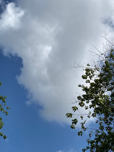 The image captures a daytime scene in Sabo, Nigeria. A view looking up showcases a partly cloudy sky. The sky transitions from a deep blue on the right to a large, prominent cloud formation on the left that dominates much of the frame. Tree branches, some with leaves, hang from the top of the frame and some near the bottom. No people or identifiable structures are visible.