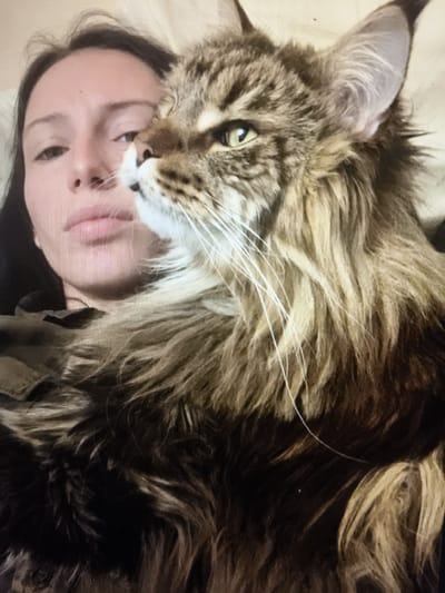 A close-up, high-angle, indoor, selfie-style shot features a young woman with dark hair and a large, long-haired cat. The woman's face is partially visible, turned slightly to the left, with her eyes open and looking towards the camera. Her lips are parted, and she appears to be looking at the cat. The cat, a Maine Coon or similar breed with brown and tan tabby markings, is positioned in front of and slightly above the woman, its head turned towards the camera and its body obscuring much of the woman's upper body. The cat's piercing yellow-green eyes are prominent, and its long white whiskers extend outwards. The cat's fur is dense and fluffy, with variations in brown, tan, and black tones. The background is softly blurred, suggesting an indoor setting, possibly a bed or sofa, with neutral-colored bedding. The lighting appears to be soft and diffused, indicating an indoor environment during the daytime. The overall mood is intimate and affectionate, capturing a moment of connection between the woman and her pet. There is no visible text in the image.