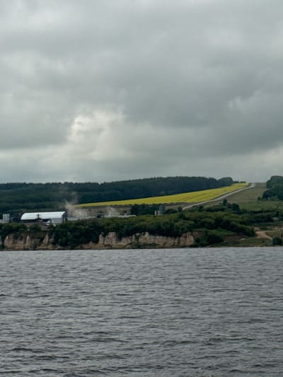 The image depicts a landscape scene on an overcast day. In the foreground, a body of water is visible with ripples on its surface. Behind the water, a cliff face with sparse vegetation runs horizontally across the frame. Above the cliff, a dense green forest covers the middle ground, interspersed with some trees and bushes. To the right of the forest, a bright yellow field slopes upwards, and a road or path cuts through it. Further up the slope, more trees and vegetation are present, leading to the horizon. In the upper part of the image, a heavy, grey, cloudy sky dominates the scene. On the left side of the middle ground, a white-roofed building with some industrial structures is situated, and a plume of white smoke or steam is rising from it. There are no people or animals visible in the image.