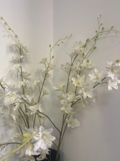 This image depicts a dense arrangement of artificial white orchid-like flowers with slender green stems, positioned in an indoor corner against two intersecting light-colored walls. The scene is located in the Brener Regional Council, Israel. The artificial flowers exhibit various stages of bloom, from tight buds to fully open blossoms, predominantly white with some having faint yellowish or cream centers. The green stems are thin and naturalistic, extending upwards and outward. A dark, cylindrical container, likely a vase, is partially visible at the lower left, holding the floral display. The environment is static, devoid of people or discernible movement. Lighting appears soft and diffused, casting subtle shadows on the plain walls behind the flowers.
