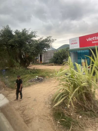An outdoor scene in the city of Myui, Vietnam, is depicted under an overcast sky. A dirt path occupies the foreground and middle ground, appearing to fork toward the center. In the lower left foreground, a concrete curb is visible. An adult male stands on the left side of the dirt path, facing towards the right. He wears a black t-shirt, dark pants, and a dark baseball cap, with a dark object resembling a cigar or pipe in his mouth. Scattered debris, including white and dark fragments, is present along the path.
In the middle ground on the right, a single-story commercial building with a red "viettel telecom" sign and "CHỊ MAI" in white text below is visible. The building features blue-tinted glass paneling. To the left and slightly behind this building, a light gray concrete structure with a brown door stands. Piles of light-colored wooden planks are stacked horizontally near the base of the gray building. Dense green trees and foliage are present on the left side of the frame, while tall, light green, reedy plants occupy the right foreground. Hills or mountains are visible in the distant background, with power lines crossing the upper right.