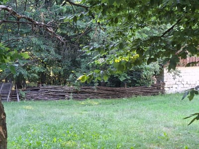 The image shows a rustic scene with a woven fence made of branches stretching horizontally across the middle ground. Behind the fence, a dense forest of green trees fills the background, with a hint of a wooden structure with a red-tiled roof visible on the right side. In front of the fence, a grassy field with patches of clover and other low-lying green plants occupies the foreground and extends to the bottom of the frame. A section of a rough wooden structure, possibly a ramp or stairs, is visible on the far left, leaning against the fence. The light suggests it is either early morning or late afternoon, casting dappled shadows across the scene. The location is identified as the city of Lozova, Moldova. There are no people or animals visible in the image.