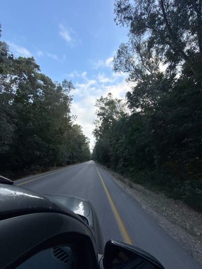 This media file depicts a view from inside a vehicle traveling on a road lined with lush green trees. The road is paved and has a yellow line marking its center. The perspective suggests the camera is mounted on the dashboard or windshield, looking forward and slightly upward. The sky is visible, with patches of white clouds against a blue backdrop, indicating it is daytime. The overall scene is one of natural beauty, with the dense foliage of the trees creating a canopy effect over parts of the road. The presence of the car indicates movement and travel. The light suggests it could be late afternoon or early morning due to the angle of the sun and the slightly muted colors. The setting is likely rural or a scenic route given the abundance of trees and the open road. There is no visible text in the image. The location context provided indicates this scene is situated in the Galil Elyon Regional Council in Israel.