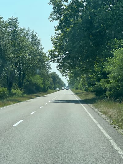 The image shows a road in a rural or suburban area, possibly on the outskirts of Khust, Ukraine. The road is paved and has a white dashed line marking the lanes. On both sides of the road are tall, mature trees with dense green foliage, creating a canopy effect over the road in some areas. The sky is clear and light blue, suggesting a sunny day. There are a few vehicles visible on the road in the distance, appearing to be cars or vans. The vegetation along the roadside is green and appears to be grass and other low-lying plants. The overall scene depicts a natural, tree-lined road, likely in a scenic or park-like setting within or near Khust.