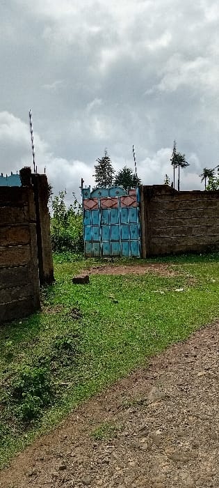 The scene, located in the city of Rwanyambo, Kenya, depicts an outdoor entrance under an overcast sky. In the foreground, a dirt path occupies the right side, transitioning to a patch of green grass on the left. A single reddish-brown brick or stone object rests on the grass near the center. The midground features an entrance gateway defined by two rough-hewn stone block pillars on the left, and a matching stone block wall extending to the right from the gate. A large, double-leaf metal gate secures the opening, constructed from vertically stacked rectangular panels; the majority are painted blue, while the top row of panels is painted reddish-orange. Beyond the gate, dense green foliage and trees are visible. The background consists of further trees silhouetted against a heavily clouded, light grey sky. No individuals or active subjects are present.