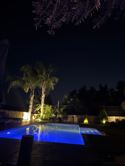 This is a nighttime, low-angle shot of a swimming pool area. The pool itself is illuminated with bright blue lights, reflecting on the water's surface. Two palm trees are visible to the left, lit by yellow floodlights. In the background, there is a stone wall, a chain-link fence, and a line of trees silhouetted against the dark sky. There are also lounge chairs and umbrellas near the pool. The scene is likely a private residence or resort in the town of Pachna, Cyprus, judging by the provided context.