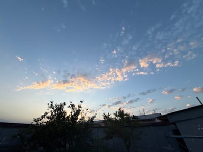 This is a horizontal, low-angle, full shot of a cloudy sky over what appears to be a residential area. The sky is a clear blue transitioning to a lighter shade near the horizon, with scattered white and orange clouds, suggesting it is either sunrise or sunset. The clouds are wispy and spread out across the upper portion of the frame. In the foreground, silhouettes of trees and a dark grey wall with some structures on top are visible. The trees are dark and leafy, with branches reaching towards the sky. The wall is a uniform dark color, and atop it, the roofs of several buildings and antennas are discernible. The overall scene evokes a calm, possibly serene, evening or morning atmosphere. The location context is identified as Sardoba, Uzbekistan. There is no visible text in the image.