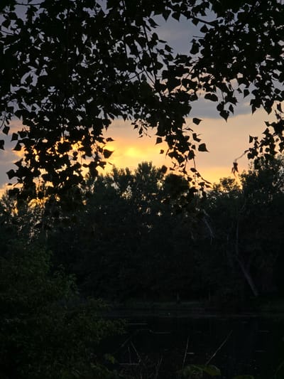 This media file captures a serene natural landscape at either sunrise or sunset, likely in Zlokuchene, Bulgaria. The sky is illuminated with warm, vibrant hues of orange, yellow, and red, indicating the sun is low on the horizon. Silhouetted against this colorful sky are dense tree branches and foliage, predominantly in the left foreground, showcasing the intricate patterns of leaves.
To the right, a dark, reflective body of water—likely a river or lake—stretches horizontally, bordered by a line of deep green to nearly black trees and bushes along its bank. The ambient light suggests dusk or dawn, with the majority of the scene, particularly the foliage and water, appearing dark or in shadow, contrasting sharply with the bright sky. There are no people or specific activities depicted. The scene evokes a sense of tranquility and natural beauty. No text is visible in the image.