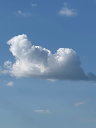 A vertical image captures a patch of bright blue sky with scattered white clouds. The primary subject is a large, cumulonimbus cloud formation positioned in the center of the frame. This cloud is characterized by its dramatic contrast, with a brightly lit right side and a darker, shadowed left side, suggesting it is catching the sunlight from the right. The cloud's shape is complex, with billowing, textured masses and sharp, defined edges.
To the left of the main cloud, a smaller, wispy cloud is visible against the clear blue sky. Further down and to the left, another faint, small cloud appears. The right side of the frame shows a gradient of lighter blue, with some elongated, wispy cloud fragments scattered across it. The overall impression is of a clear, bright day, likely during daylight hours, with the sun positioned to the right of the frame. No people, objects, or text are discernible within the image. The setting is an outdoor sky. The image appears to have been taken from the ground looking upwards.