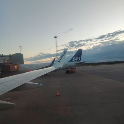 The image, captured from the window of an aircraft, depicts an active airport tarmac during either dawn or dusk, characterized by soft, diffused light and a sky transitioning from light grey-blue at the horizon to darker, cloud-covered grey overhead.
In the immediate foreground, the clean white wing of the viewer's aircraft extends from the lower-left corner towards the mid-right.
Three commercial airliners are visible. To the far left, a Scandinavian Airlines (SAS) aircraft is docked at a gate, partially obscured by a reddish-brown jet bridge marked with the yellow number "16". Parts of the "Scandinavian Airlines" text are visible along its fuselage. Directly in the center of the frame, a white Ryanair aircraft is parked, clearly displaying its "RYANAIR" logo on its vertical stabilizer and the registration "SE-ROA" below the rear door. To the right of the Ryanair aircraft, the blue tail fin with the white "SAS" logo of another Scandinavian Airlines aircraft is visible.
A red airport service vehicle, with a ground crew member in a yellow high-visibility vest, is positioned near the rear fuselage of the Ryanair plane. The tarmac is a dark grey asphalt surface with painted white and yellow lines, indicating taxiways and parking positions. Several orange traffic cones are scattered across the tarmac.
In the background, two tall, metallic lattice towers rise against the sky. A modern-looking, dark grey airport terminal building with large windows is partially visible behind the leftmost SAS aircraft and the jet bridge. A distant treeline marks the horizon under the cloud cover.
Based on the Swedish aircraft registration "SE-ROA" and the presence of Scandinavian Airlines (SAS), the location is identified as Stockholm-Arlanda Airport (ARN) in Sweden.