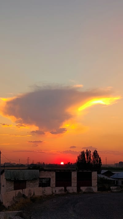 The image depicts a rural landscape at sunset in Yallama, Uzbekistan. The sky is a gradient of colors, transitioning from pale yellow and orange at the top to vibrant orange and red near the horizon. A large, dark cloud formation hangs prominently in the sky, with streaks of bright yellow light illuminating its edges. In the distance, the sun, a small, bright red orb, is visible just above the horizon.
In the foreground, there are several low-lying structures, likely farm buildings or storage units, with corrugated metal roofs and rough, weathered walls. Some of these structures have large, dark openings that appear to be doorways or entrances. Concrete barriers are placed in front of these buildings, and the ground is covered with dark gravel. Several tall, slender trees are silhouetted against the sunset behind the buildings. Electrical power lines and pylons can be seen in the mid-ground, indicating the presence of infrastructure. The overall scene conveys a sense of quiet, rural life at the end of the day.