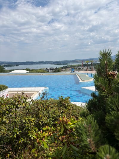 The image depicts a view of a large outdoor swimming pool complex overlooking a lake and a distant city. The pool features bright blue tiled surfaces and a tiered design with multiple levels. In the foreground, lush green foliage partially obscures the view, with a pine tree branch in sharp focus on the right side of the frame. Beyond the pool, a body of water, likely a lake, is visible with numerous small boats scattered across its surface. The far shore is lined with trees and buildings, suggesting a populated area. The sky is partly cloudy with a mix of white and gray clouds. The location is identified as Pfäffikon SZ, Switzerland. There are no discernible people or specific actions taking place in the image. The scene is a landscape view of a leisure facility and its surrounding environment.