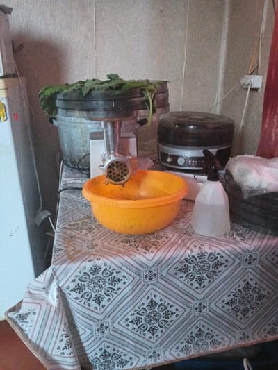 The image shows a close-up of a kitchen counter in what appears to be a rural or rustic setting, possibly in Kamenno-Angarsk, Russia. The counter is covered with a tablecloth featuring a repeating diamond pattern with floral motifs in shades of grey and beige.

On the counter, there are several objects associated with food preparation. A large, galvanized metal pot is partially visible on the left, filled with green leafy vegetables. In front of the pot sits a silver meat grinder, attached to a white appliance. Beneath the meat grinder is a bright orange plastic bowl, seemingly ready to catch ground ingredients. To the right of the bowl, there is a clear plastic spray bottle with a black nozzle. Behind the bowl and spray bottle, a dark, round appliance, possibly a food dehydrator or a slow cooker, is visible. A stack of black and white objects, likely more food storage containers or trays, is positioned in the far right background.

The lighting suggests it is daytime, but the overall ambiance is utilitarian and functional rather than brightly lit. The background walls are textured and light-colored, with a white electrical outlet visible on the right. The scene depicts a moment of food processing, likely preparing ingredients for preservation or cooking, a common activity in domestic settings, especially in areas where fresh produce might be seasonal. No people are visible in the frame. There is no discernible text in the image.