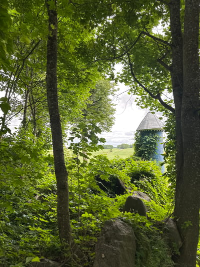 The image depicts a lush, green forest scene with a blue, conical-roofed tower partially visible through the foliage. The tower is covered in ivy and appears to be a man-made structure, possibly a silo or a small observatory, set within a rural landscape. In the background, a rolling green field stretches towards a treeline under a cloudy sky. Large rocks and dense undergrowth surround the base of the tower, further emphasizing the natural setting. The overall impression is one of overgrown nature reclaiming a man-made element. The location is specified as Хаценчыцкі сельскі Савет, Belarus. There are no people or animals present in the image, and no actions or interactions are taking place. The scene is static and focuses on the interplay between the natural environment and the solitary tower.