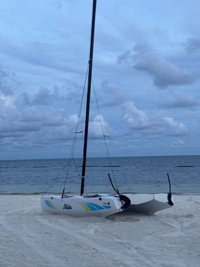 A white Hobie Wave catamaran sits on a sandy beach next to the ocean. Its black mast rises tall against a cloudy sky. The boat has colorful blue and yellow stripes on its hull. The ocean stretches to the horizon under a mostly overcast sky. Some of the boat is in the sand.