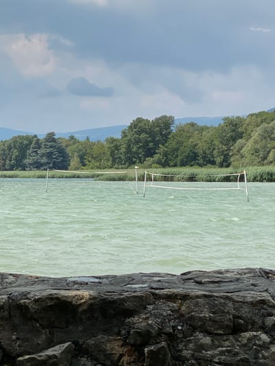 The image depicts a scene at a lake in Laténa, Switzerland, likely during daytime given the lighting. In the foreground, a rough, dark stone embankment lines the bottom of the frame. Beyond the embankment, a body of light green, choppy water occupies the middle ground. Two white poles with a white net stretched between them stand in the water, suggesting a volleyball net set up for recreational use. A single white bird is perched on the net towards the right side of the frame. In the background, a dense line of tall green reeds or grasses separates the water from a thick forest of various green trees. Further in the distance, rolling hills or mountains, covered in trees, rise against a cloudy sky. The sky itself is filled with a mix of light and dark gray clouds, with some patches of brighter sky visible.
