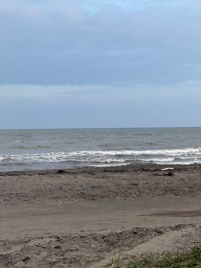 The image depicts a beach scene with the Sea of Okhotsk in the background. The sky is overcast with a pale blue hue, and a layer of clouds stretches across the horizon. The sea is a muted gray, with gentle waves breaking on the shore. The beach itself is composed of dark, damp sand, with some debris scattered along the high-tide line, including a piece of driftwood on the right. Tire tracks are visible in the sand, suggesting vehicle access. In the foreground, some green grass grows at the bottom right edge of the frame. The overall impression is of a cool, somber day at the Aniva beach in Russia.