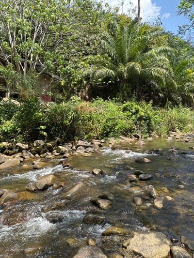 The image depicts a flowing river in Tambon Song Phraek, Thailand. The riverbed is composed of numerous rocks of varying sizes. Dense vegetation, including palm trees and bushes, lines the riverbank. A small wooden structure is visible amidst the foliage on one side. The water appears clear, with areas of turbulent flow over the rocks. The sky is partially visible, with a few clouds.