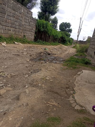 The image depicts an unpaved, undulating dirt road in Kiamaina ward, Kenya, under an overcast sky. In the immediate foreground, the ground is composed of compacted earth, scattered small stones, and debris. A prominent, dark, muddy puddle containing refuse is centrally located, slightly to the left. To the far right foreground, a patch of cracked concrete is partially overgrown with green vegetation.

On the left side of the scene, a grey concrete block wall, approximately 2.5 to 3 meters high, extends into the midground. Behind this wall and further along the dirt path, a dense line of green shrubbery and taller trees form a natural barrier or property line. On the right side, a second, shorter concrete block wall is partially visible.

The dirt path curves gently to the right as it recedes into the background. Utility poles carrying multiple overhead wires are situated along the right side of the path, extending into the distance. No individuals, overt actions, or direct interactions are observable within the frame. The overall environment suggests a semi-rural or developing urban setting.