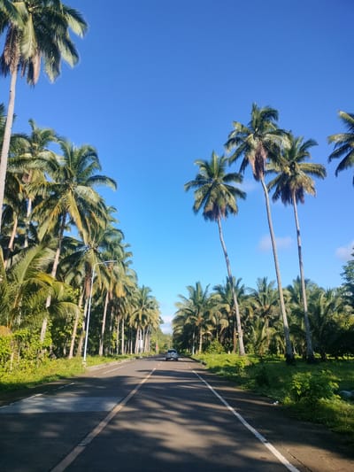 The image shows a road lined with tall coconut palm trees on both sides, creating an avenue effect. The sky is clear and blue, indicating a sunny day. A silver SUV is driving away from the camera on the right side of the road. The road appears to be asphalt and has white lane markings. Lush green vegetation is visible on the sides of the road, with shadows from the palm trees cast across the pavement. This scene is characteristic of many rural and coastal roads in the Philippines, likely in or around Kidapawan City, known for its agricultural landscapes and tropical climate, which supports the growth of coconut palms.